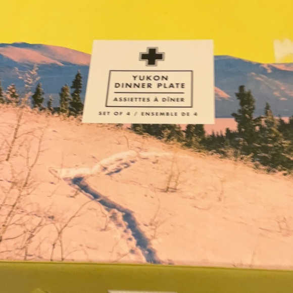 DRAKE GENERAL STORE YUKON DINNER PLATES SET OF 4 - Picture 2 of 8